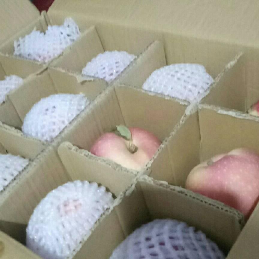老张