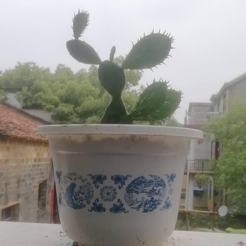 平安是福，，，，，，