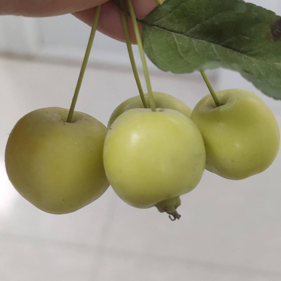拾光