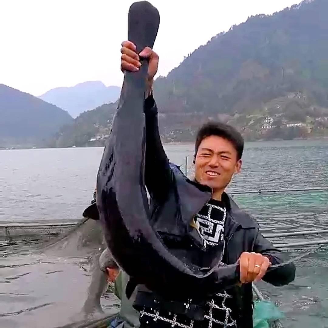 长阳货牛网贸易商行