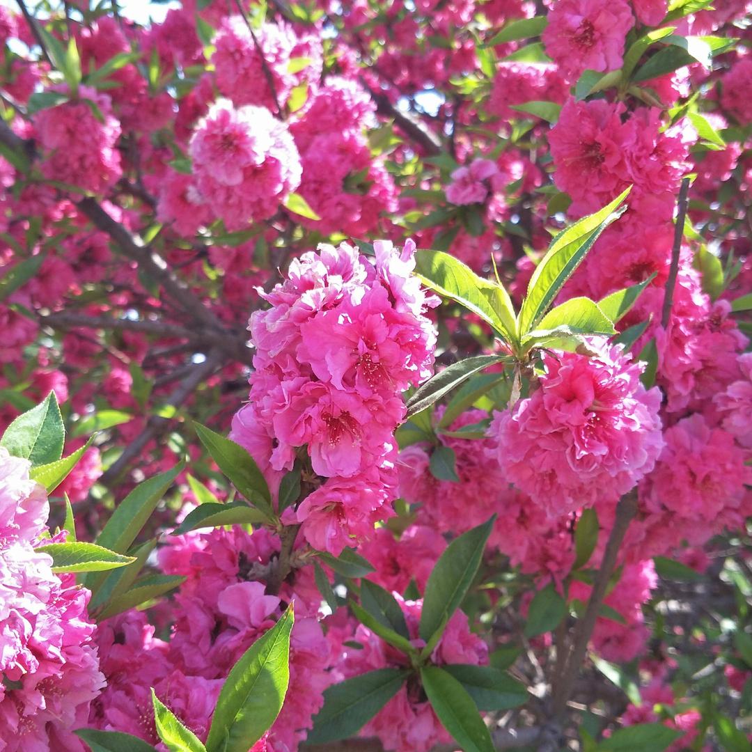 剑胆琴心，闯荡九州