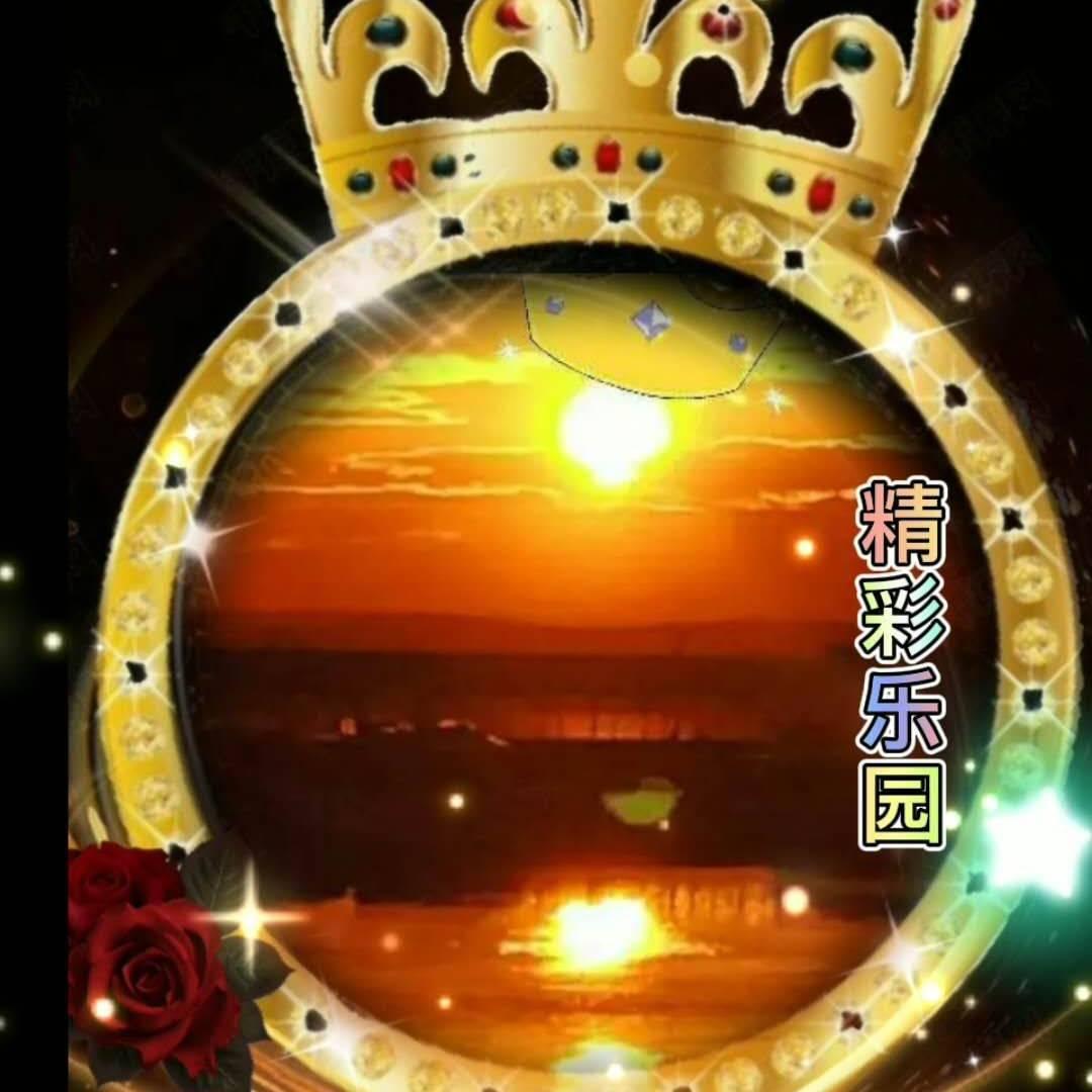 康乐队美子✨精彩乐园