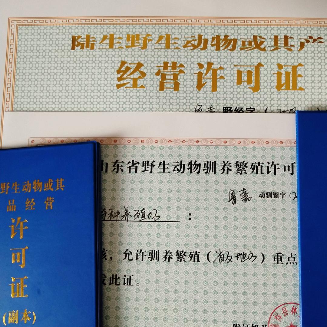 嘉祥企发养殖