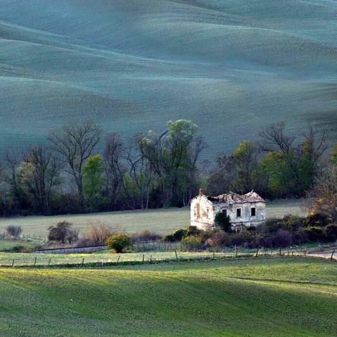 魏县边马济福养老院