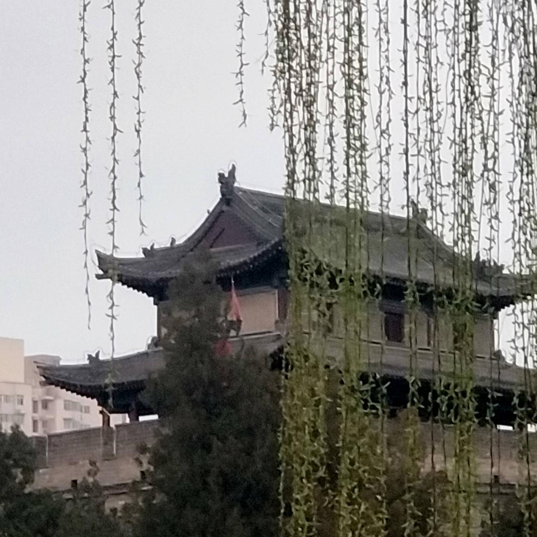 老康82489