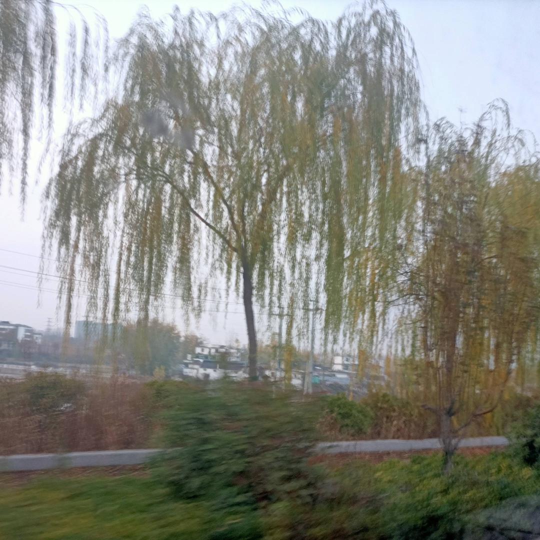 快乐的小馨馨@