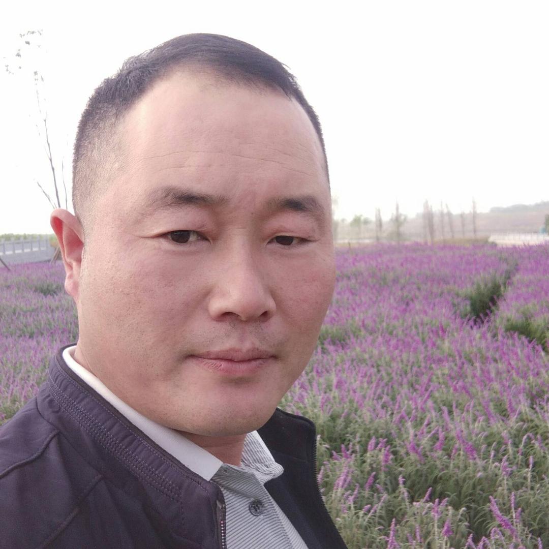 《风往北吹》