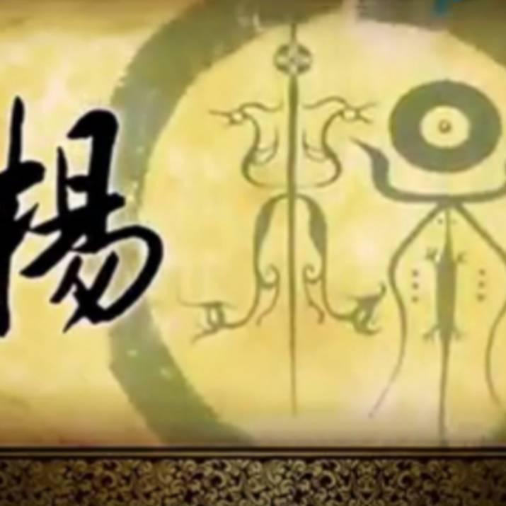 寡妇村杨主任，来了