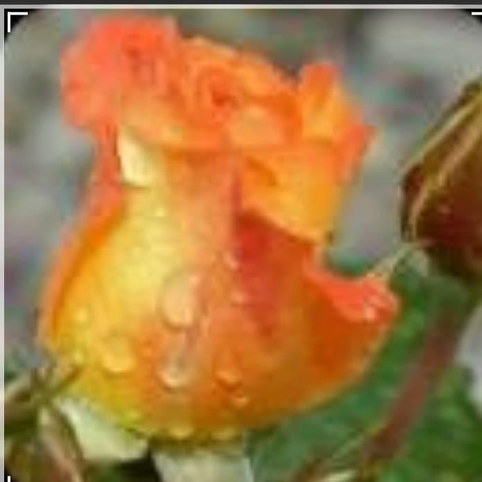 常玉（相信自己）