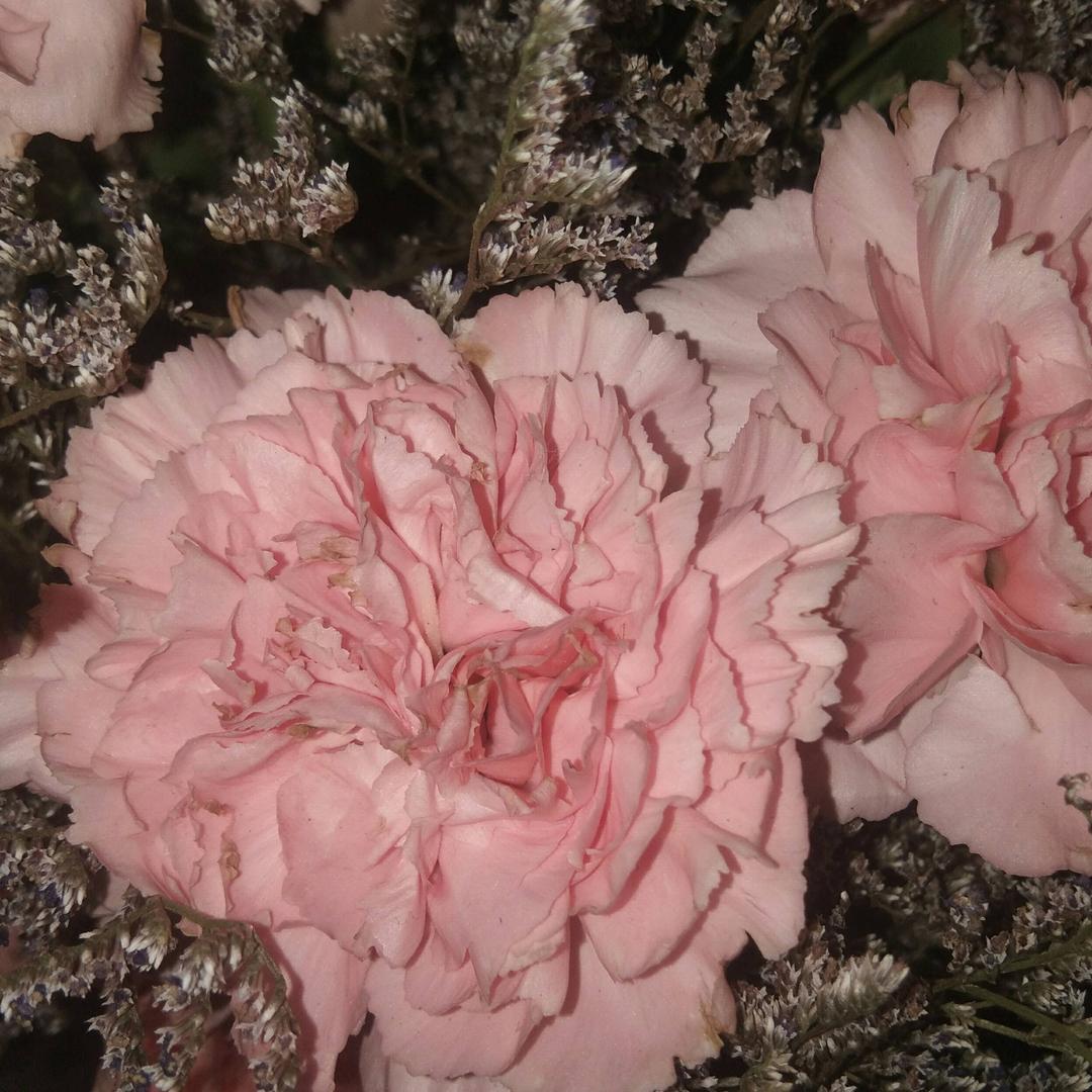 ⑧幸福一家人^ω^