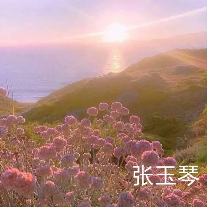 张玉琴