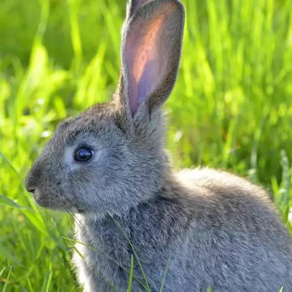 🍅🕵️快乐🍓