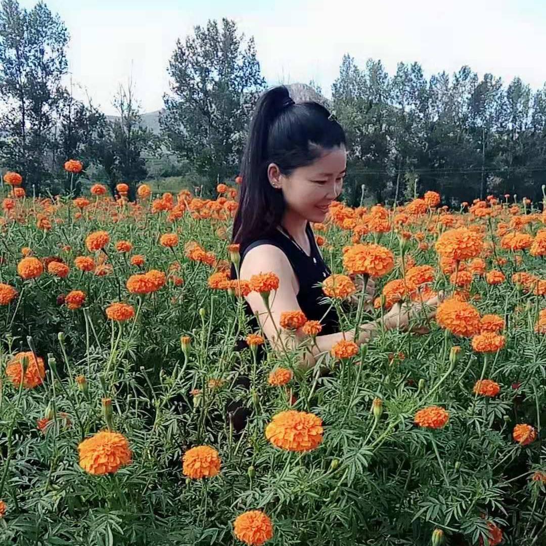 今日晴（109）