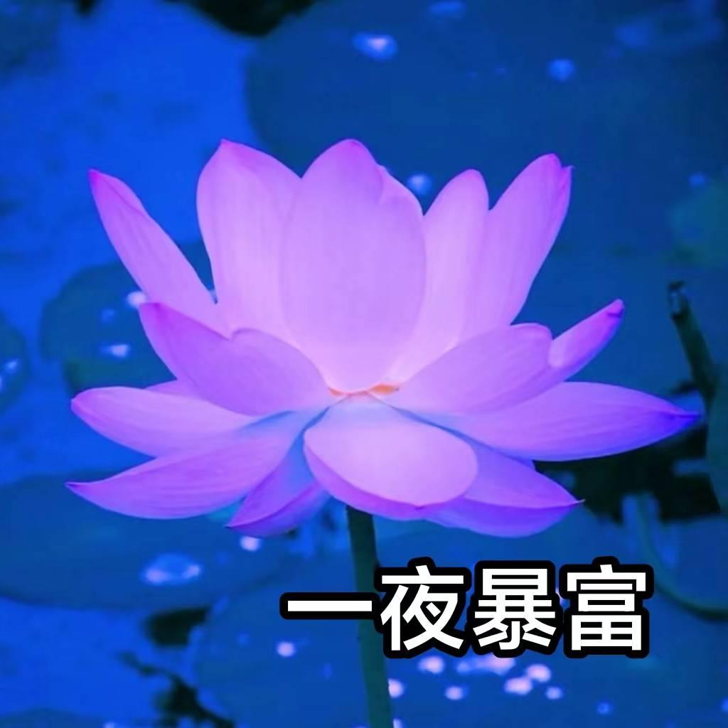 心想事成.