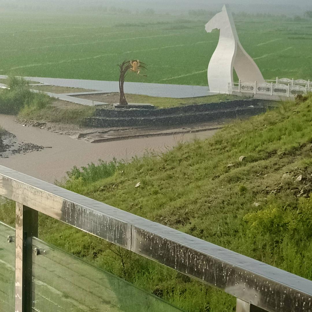 我就是我。未来