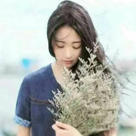 乐乐小屋