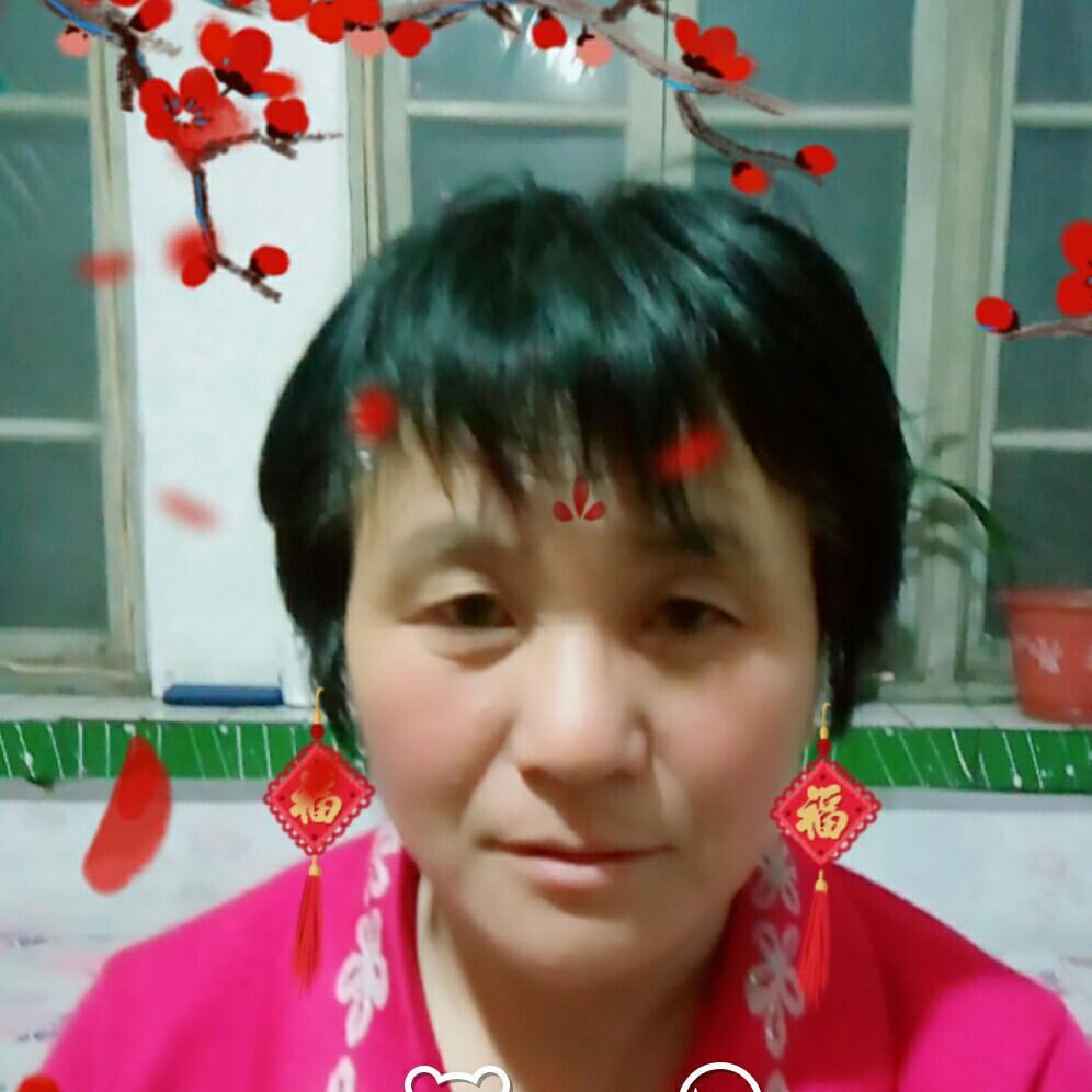 淑英q7xl