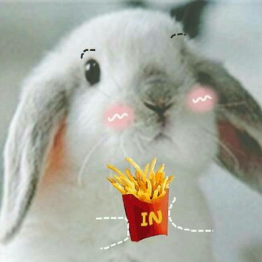 火星弟弟是地球的～头像