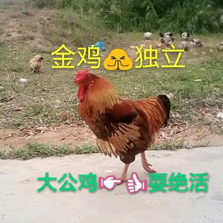 🔥絶   恋🔥