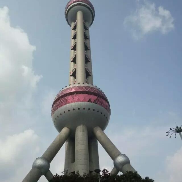 忘忧草qzlk