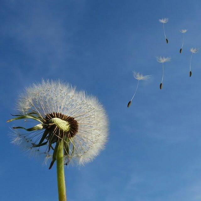 阿斌