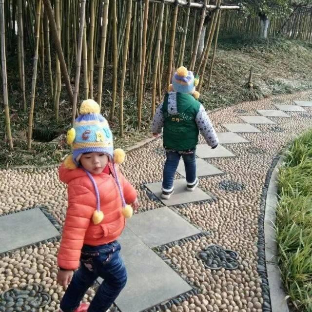 肩上蝶
