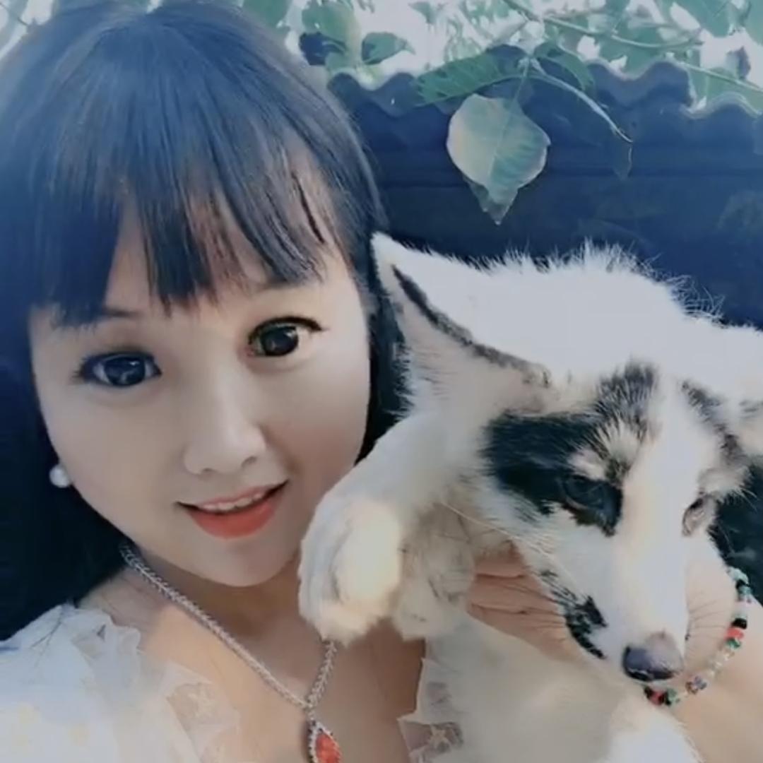 狐狸姐姐🦊