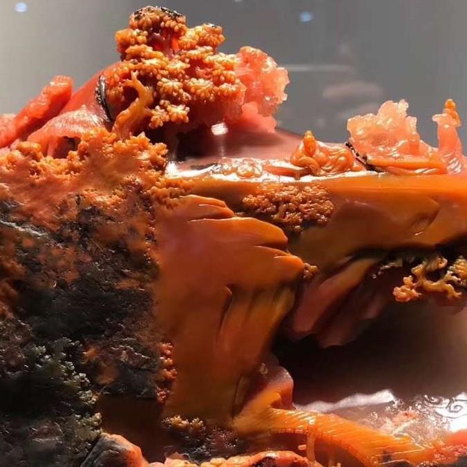 何大     山行者