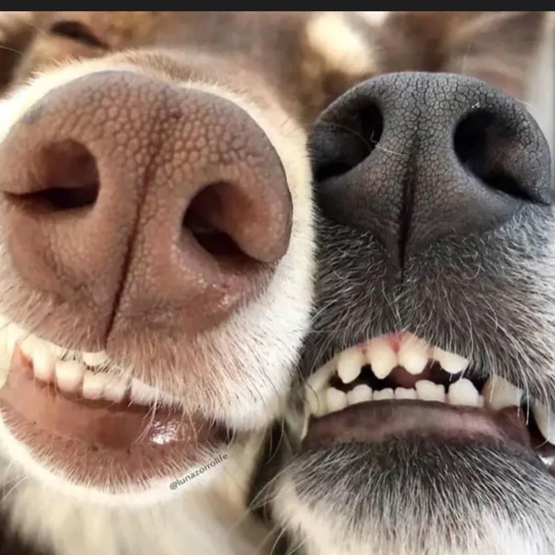 被風吹过的夏天