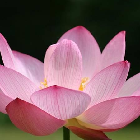 一帆风顺♥