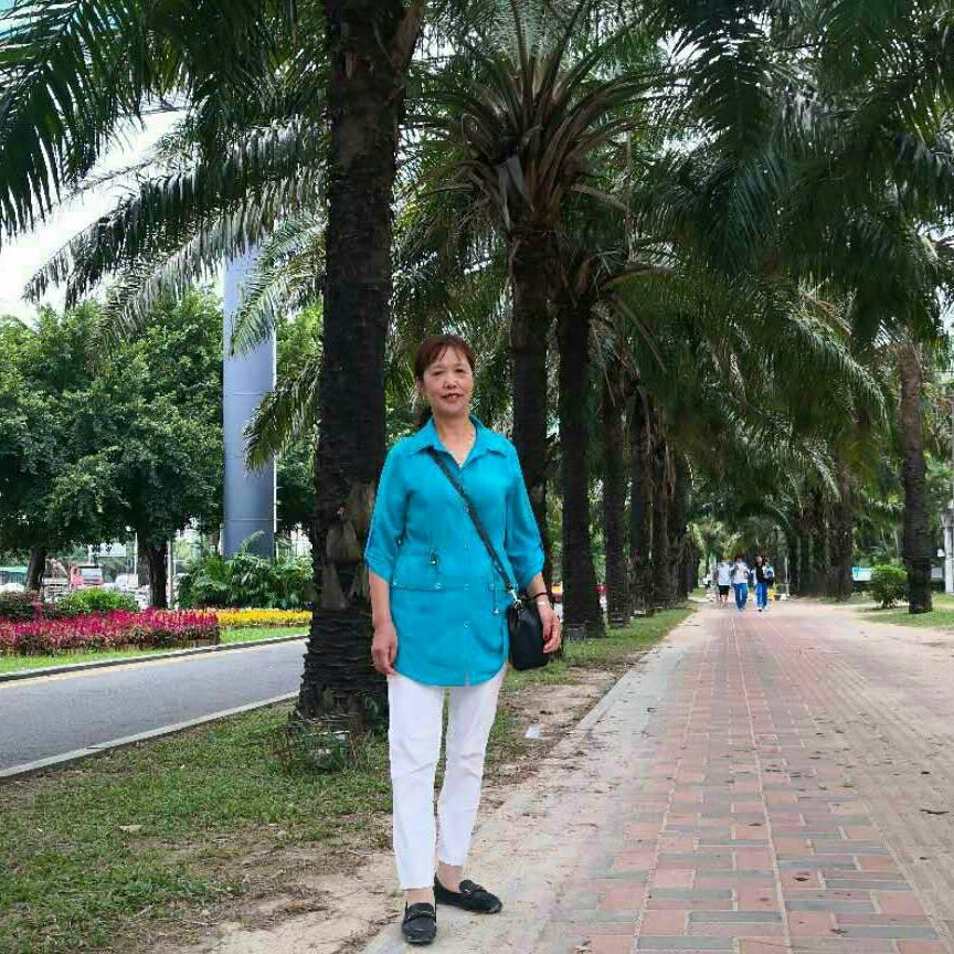 杨小整