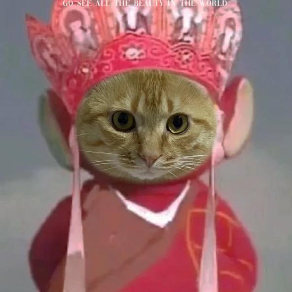 丢丢和多米先生日常