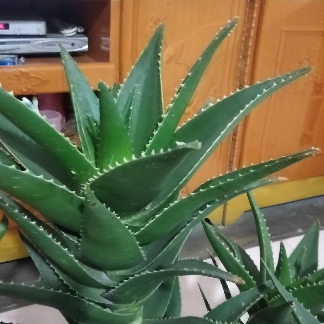爱上合拍。