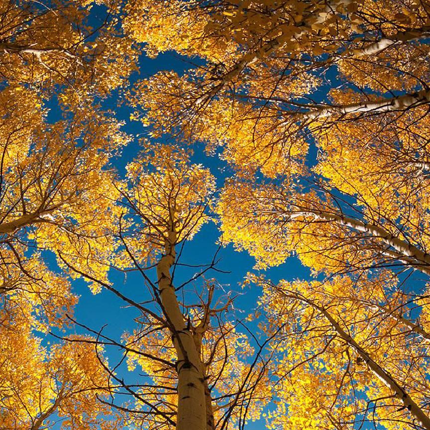 前程似锦，向往未来！