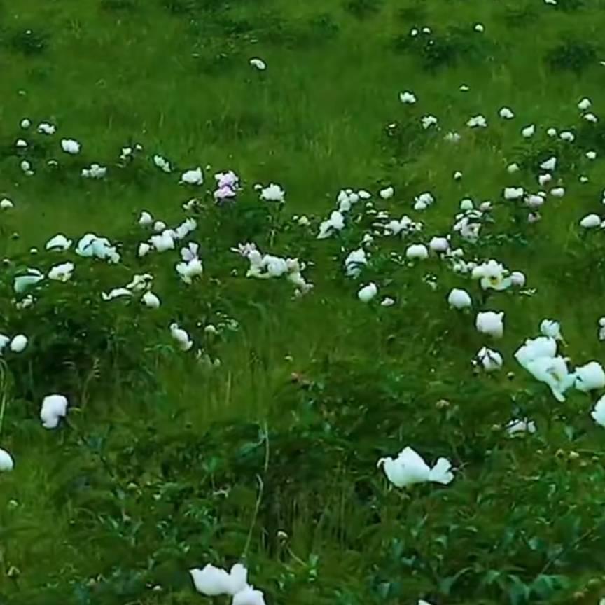 阴雨绵绵