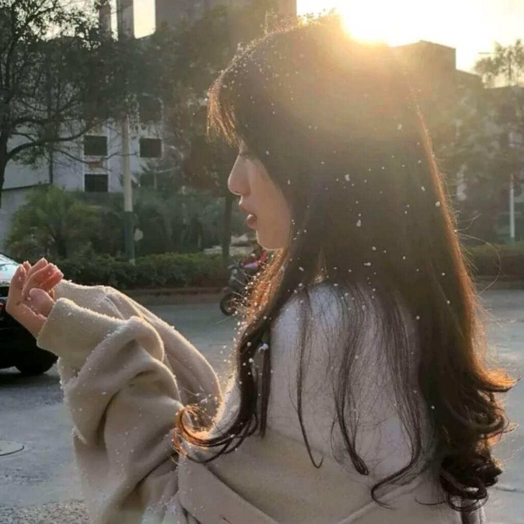 牧羊人d