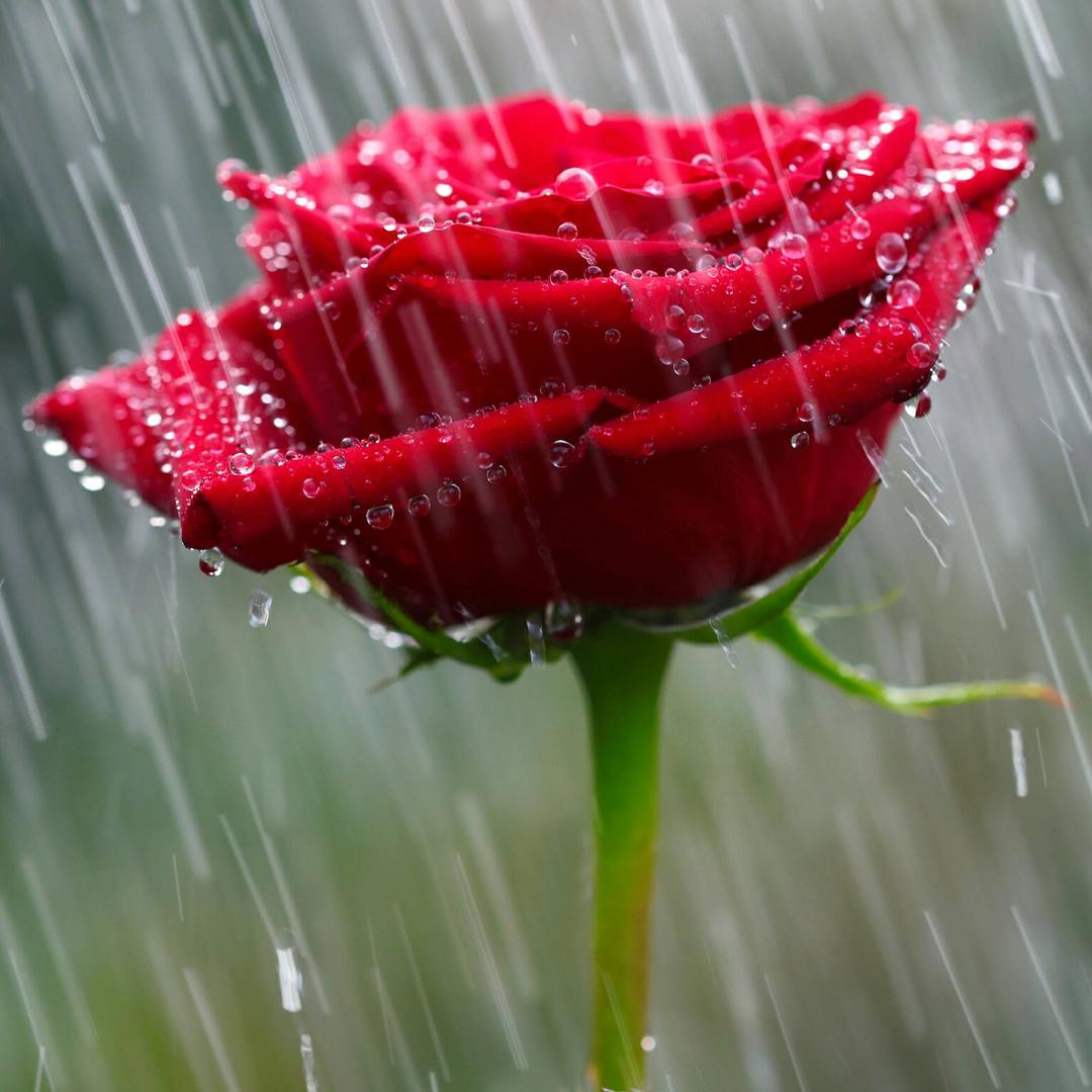风雨同舟1086玉林