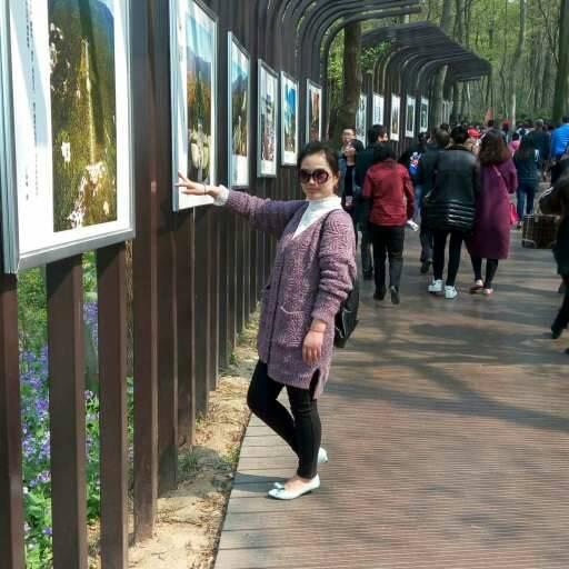 执意飞扬