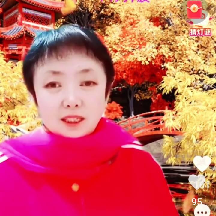 老周17p3梦园