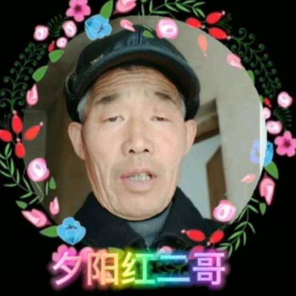 夕阳红二哥