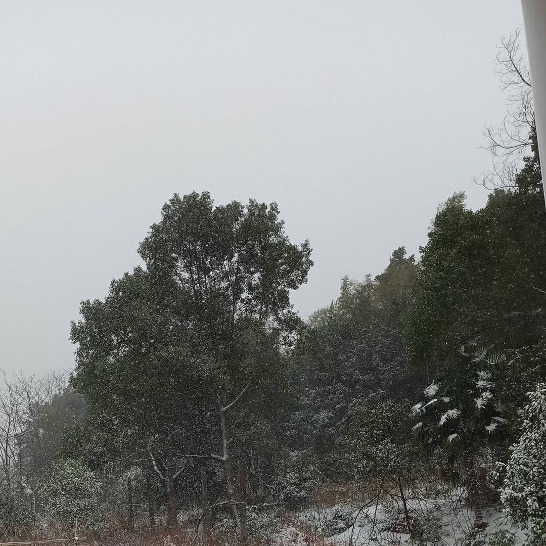 小李的日常生活