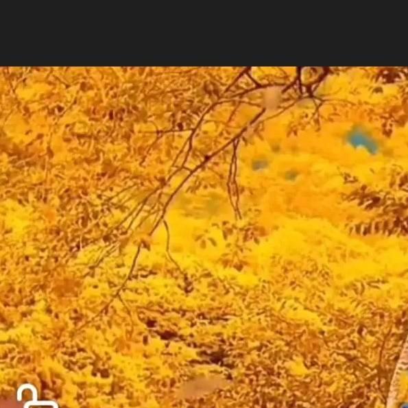 在痛苦也要爱一辈子