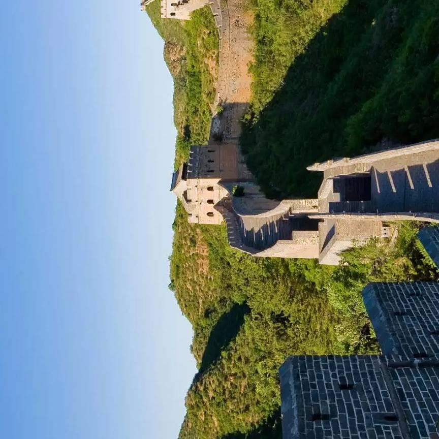 高调哥