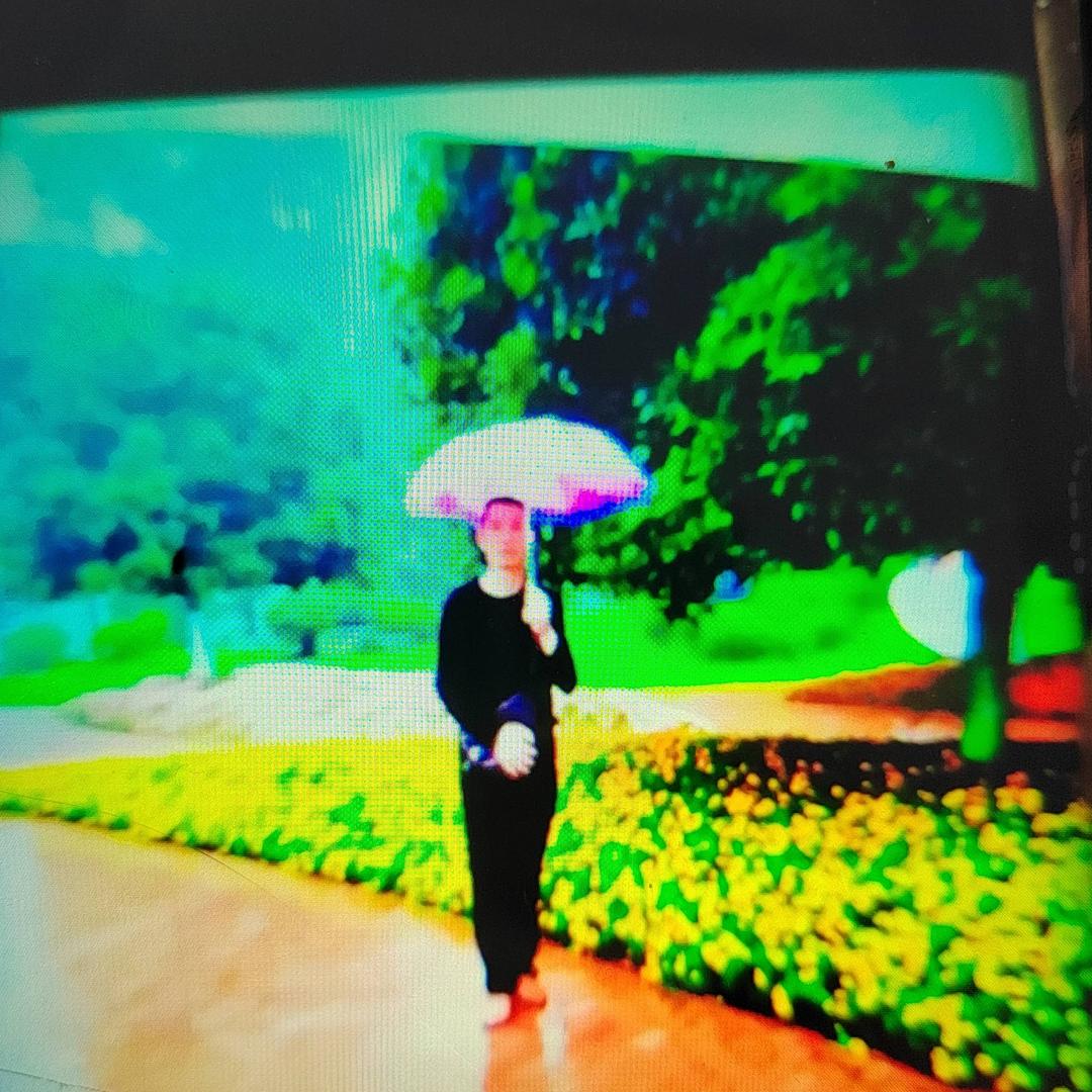 情哥王子