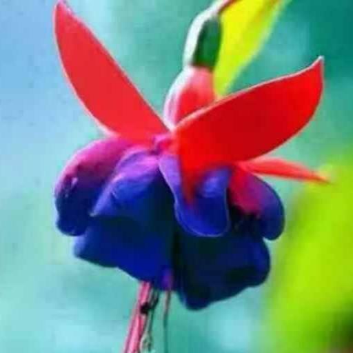 芳草绿
