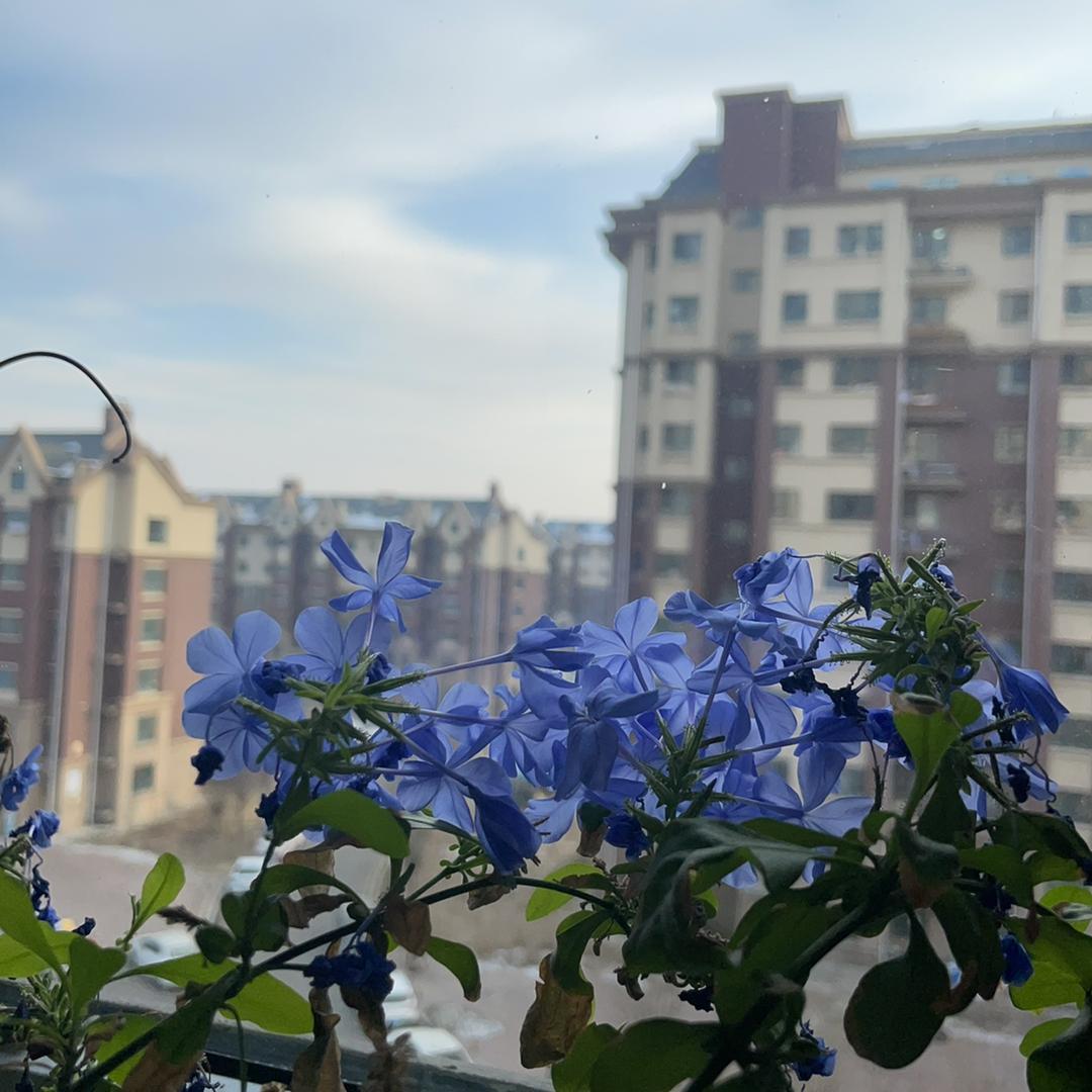 我是正能量搬运工