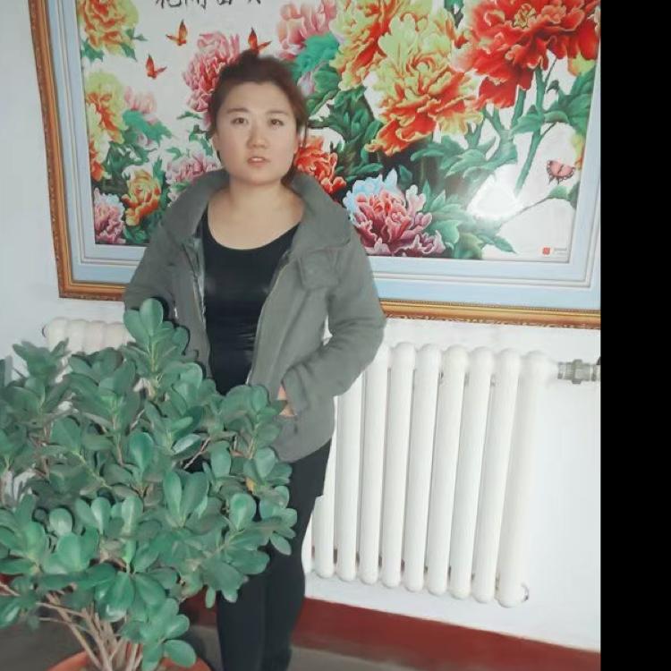 小凤凰