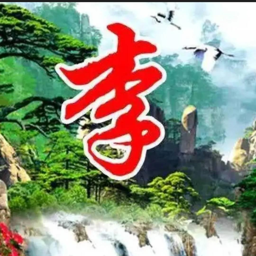 诗和遠方