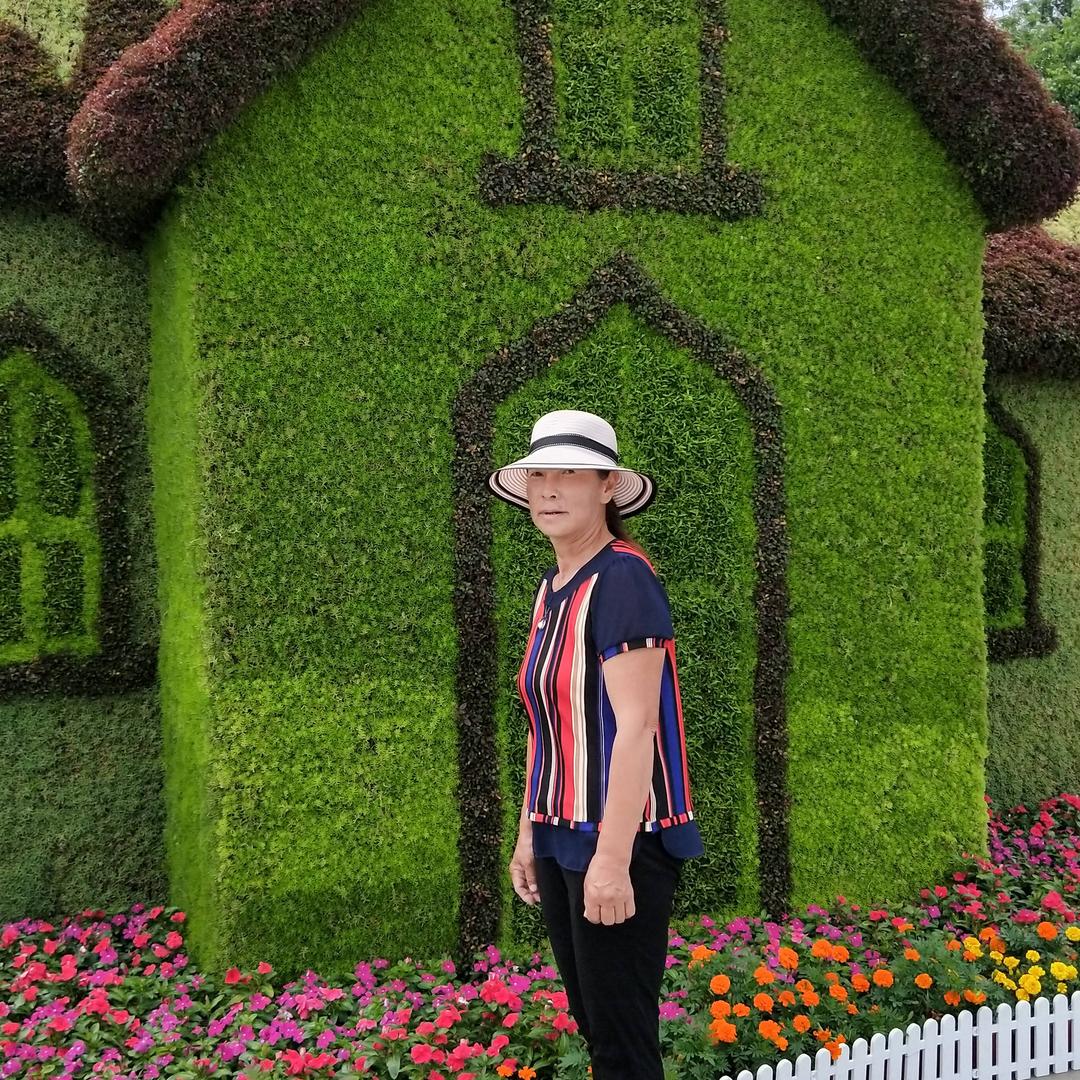 娟姐爱火山+在火山