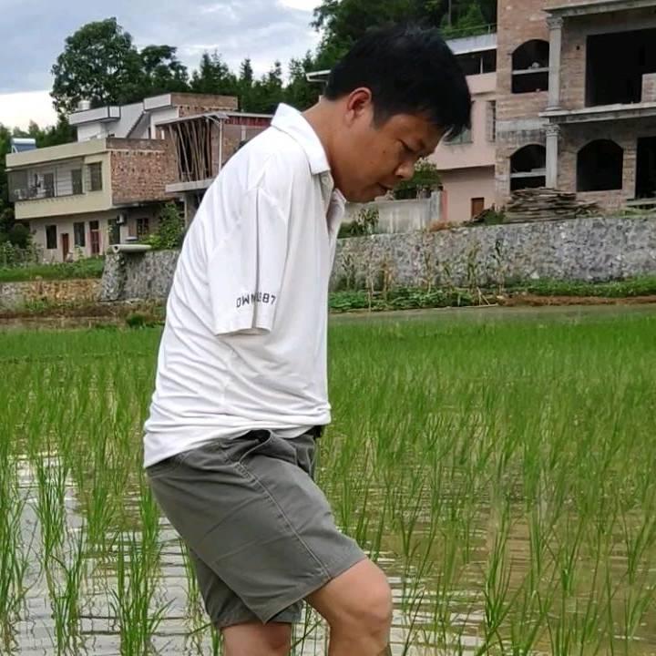 元哥